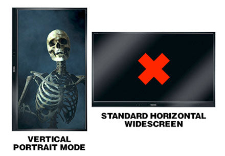 PARANORMAL PORTRAITS: VOLUME 4 - HD